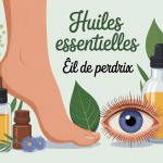 illustration soin naturel oeil de perdrix huiles essentielles