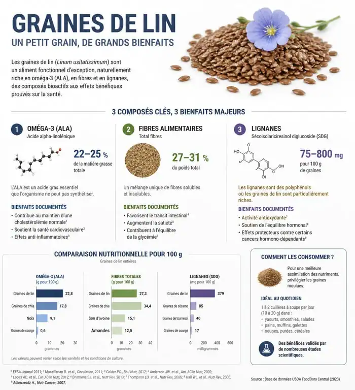 Infographie sur les bienfaits santé et la composition nutritionnelle des graines de lin