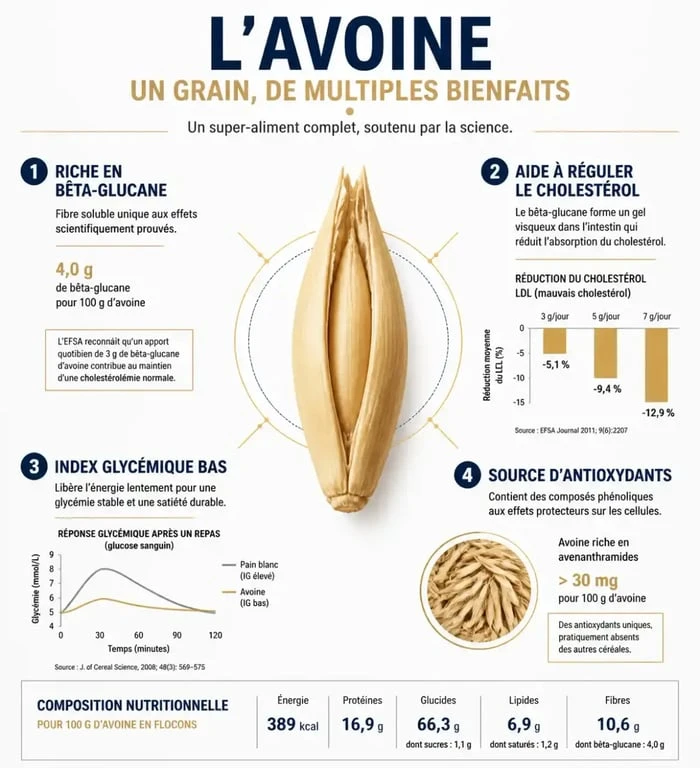 Infographie sur les bienfaits de l'avoine pour la santé et ses propriétés nutritionnelles