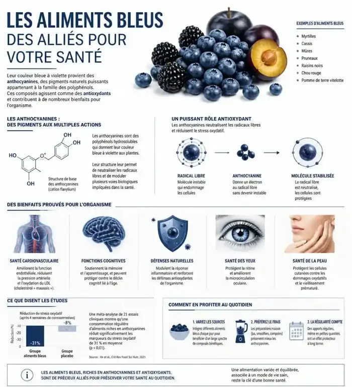 Infographie sur les bienfaits nutritionnels et les propriétés des aliments bleus