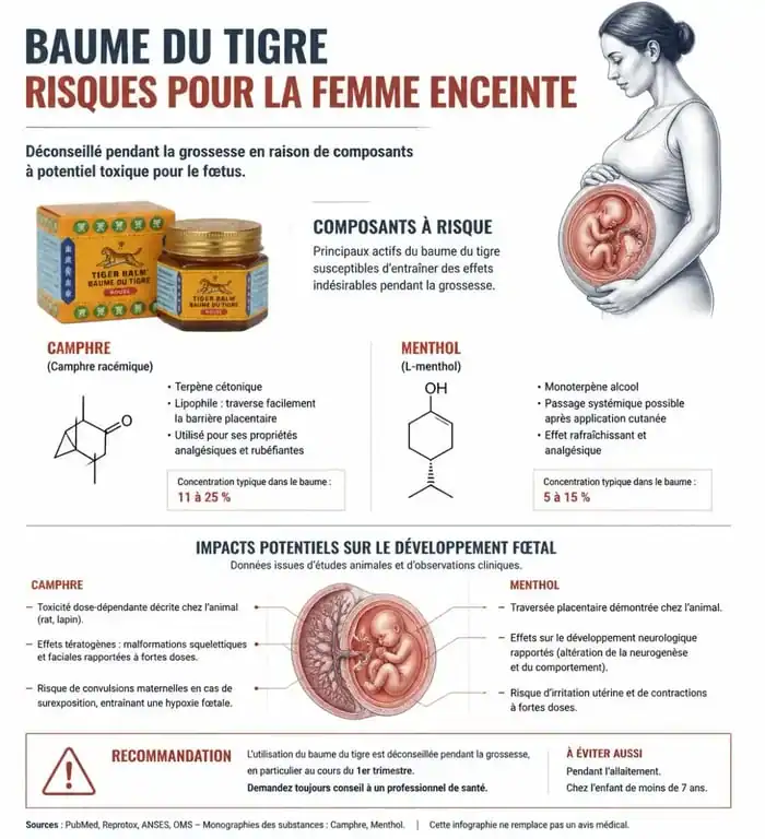 Infographie sur les risques du baume du tigre pour femme enceinte et les composants à éviter