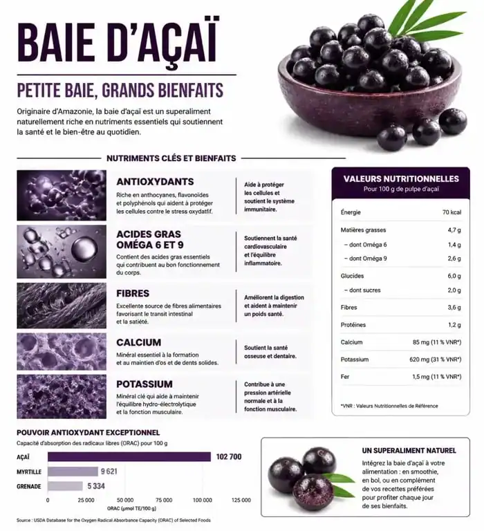 Infographie des bienfaits nutritionnels et antioxydants de la baie d'açaï pour la santé