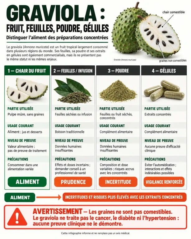 Infographie sur les graviola bienfaits, les formes de consommation du corossol et les précautions liées aux feuilles, graines et gélules